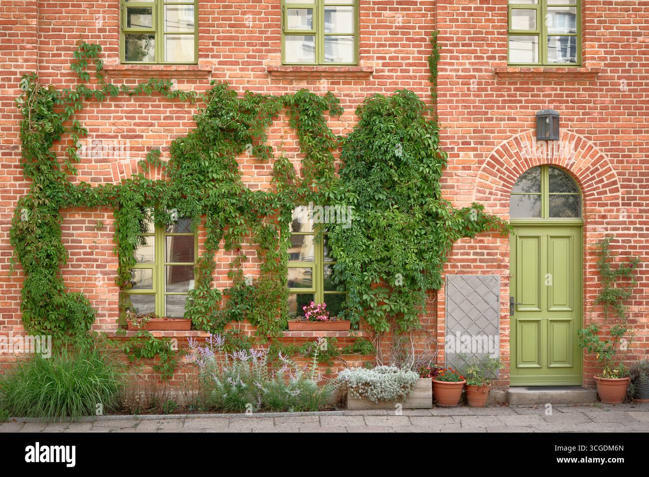 Backsteinmauer eines historischen Gebäudes mit grün lackierter Tür, Fenstern, Efeu-Klettern an der Fassade und Topfpflanzen davor, städtisches Grün. Stockfoto
