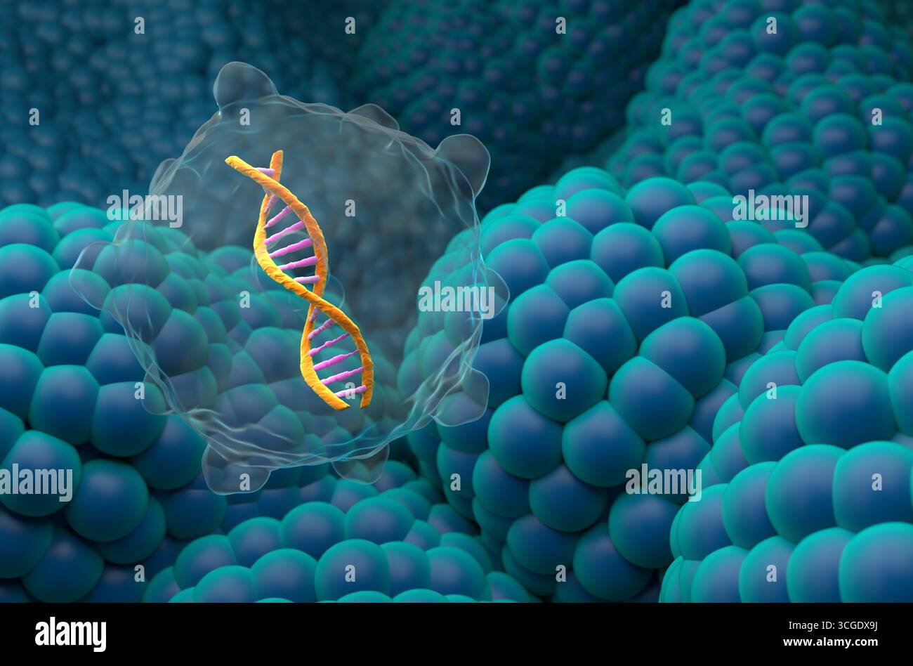 Gentherapie beim Prostatakarzinom - Nahaufnahme 3D-Illustration Stockfoto