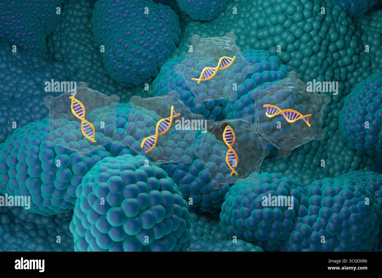 Gentherapie beim Prostatakarzinom - isometrische 3D-Darstellung Stockfoto