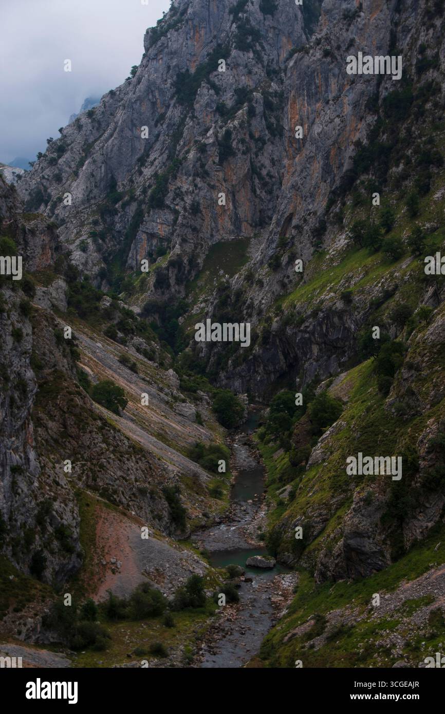 Río serpentea entre las Montañas de los Picos de Europa, Rodeado de paredes de roca y vegetación. Escenario salvaje. Stockfoto