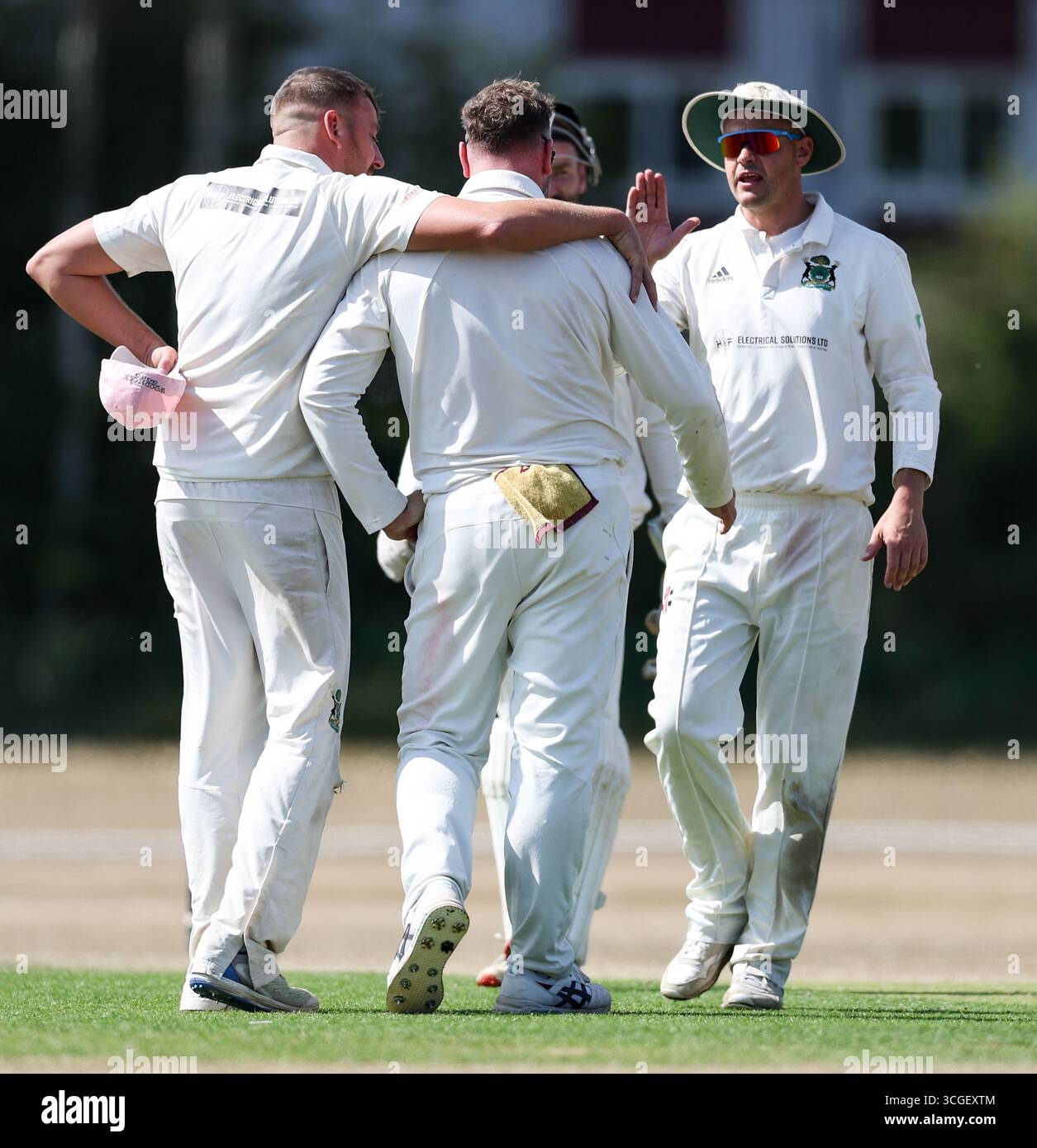 Cricketspieler feiern, dass sie einen Wicket mit einem Arm um den Wicket-Taker und einem High Five von einem anderen Spieler nehmen Stockfoto