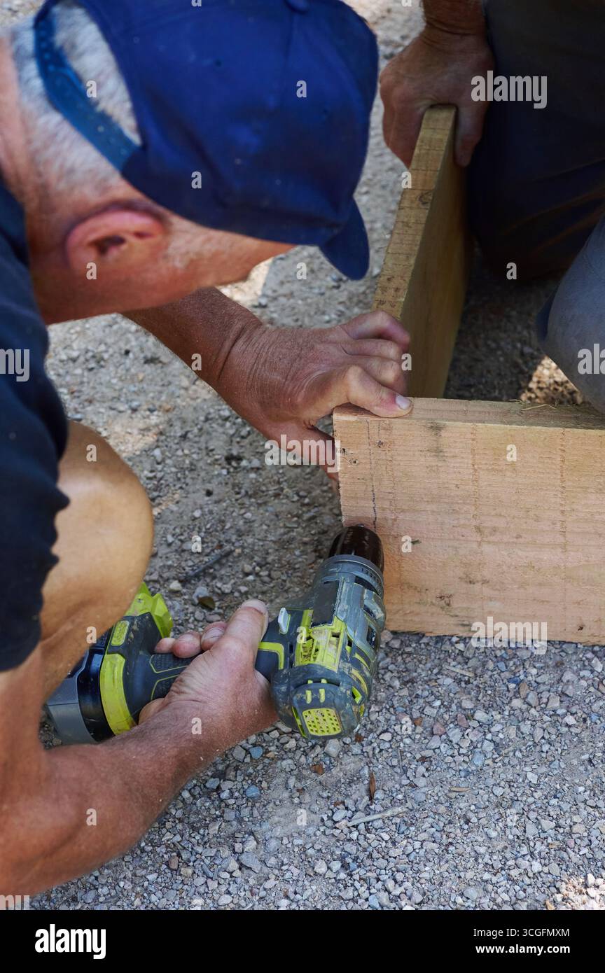Nahaufnahme eines älteren Mannes, der eine Holzkiste mit Bohrmaschine montiert, Konzept der Handarbeit und Handwerkskunst. Stockfoto