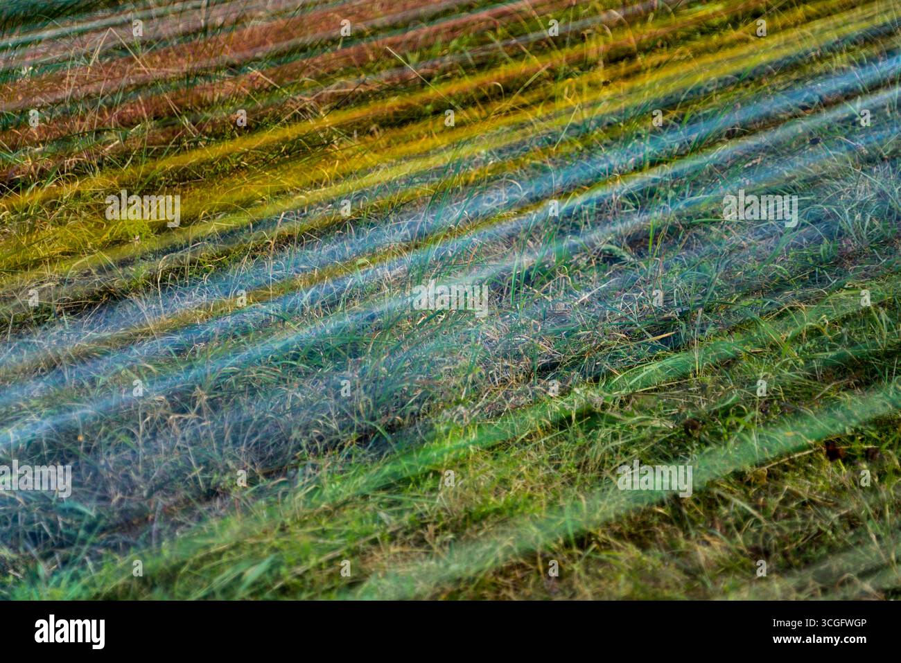 Die Installation 'Wind Carpet' von Kotoaki Asano, 12. Blaskunstfestival 2025, 'bewegter Wind', Zierenberg, Hessen, Deutschland, Europa Stockfoto