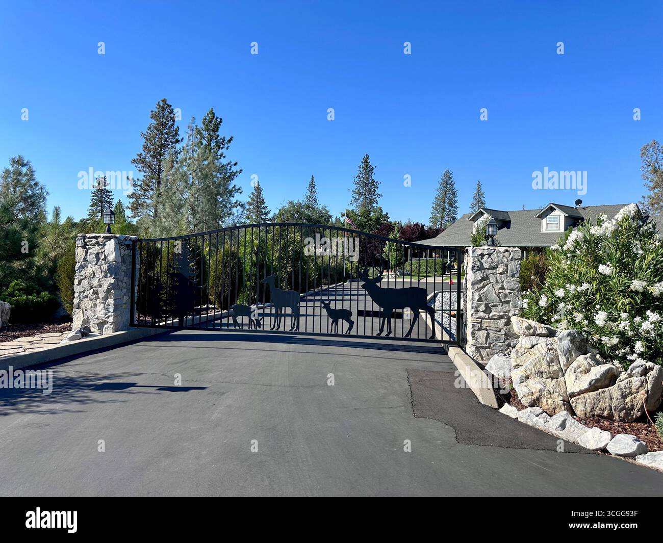 Ein privates Wohntor mit dekorativem Metalldesign aus Hirschen und Bäumen, mit einem Haus und einem begrünten Hof im Hintergrund. - Smartphone-aufgenommenes Stockfoto