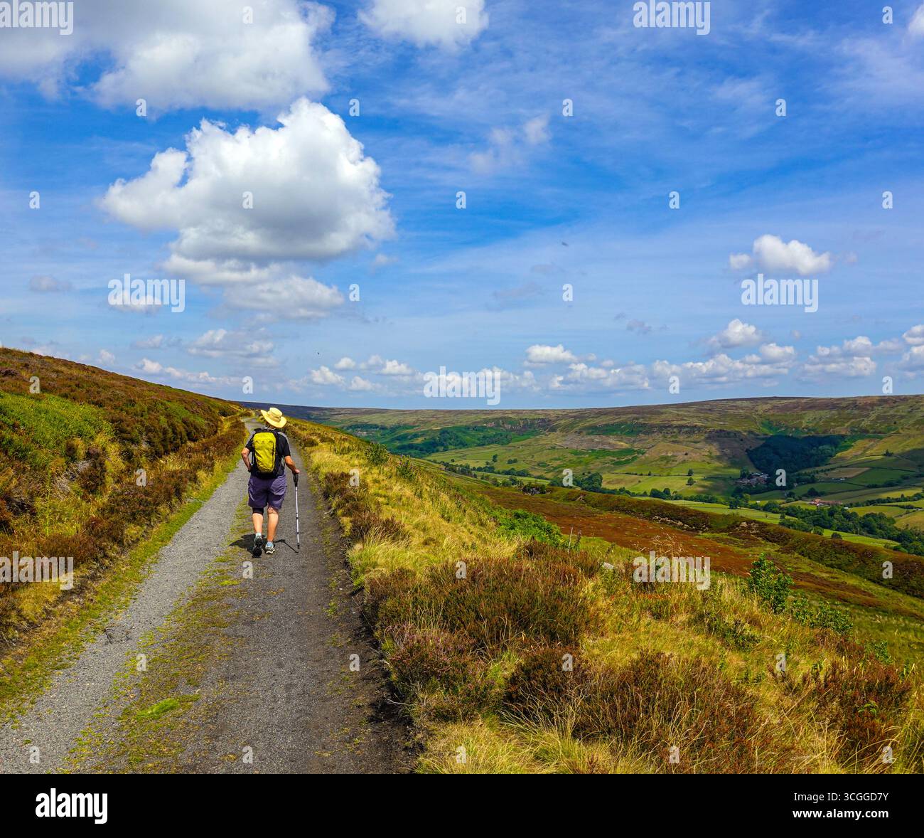 Rosedale, North York Moors, Yorkshire, Nationalpark, Großbritannien Stockfoto
