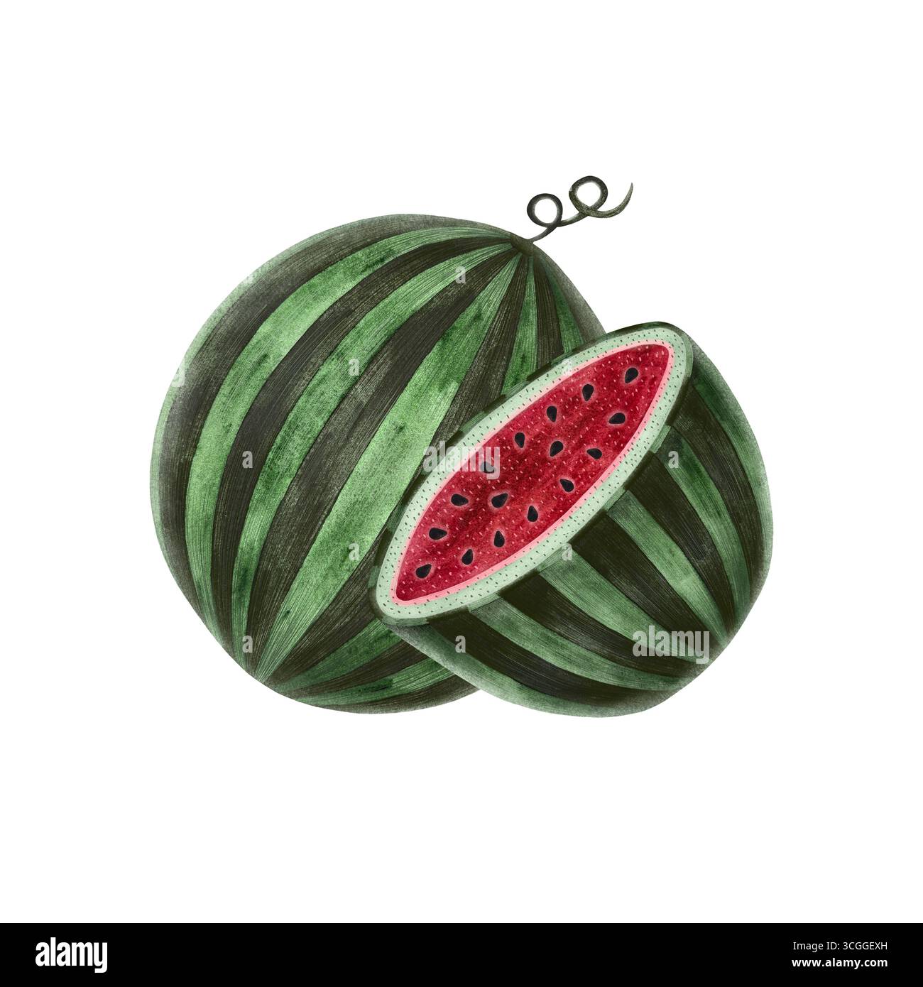 Wassermelonen-Illustration. Ganze Wassermelone und halbe Scheibe auf weißem Hintergrund. Perfekt für Sommer-Designs, Lebensmittel-Illustrationen oder gesunde Lebensmittel Stockfoto