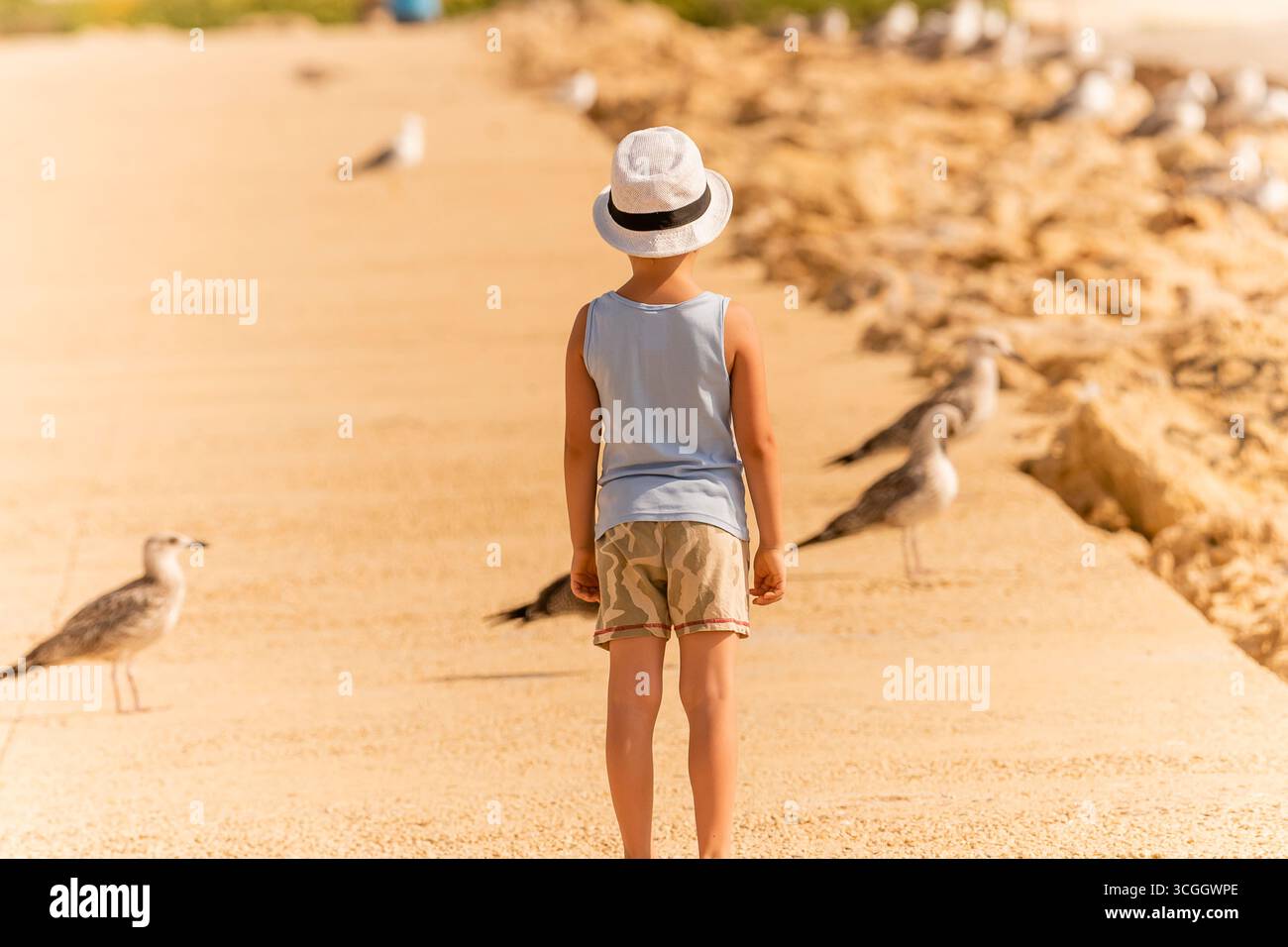 Ein kleiner Junge beobachtet Möwen an einem sonnigen Tag entlang einer Sandpromenade an einer Küste. Stockfoto