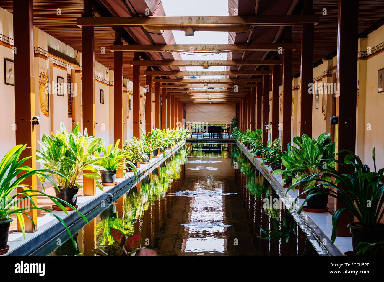 Das tägliche Leben in Fort Kochi, Kerala Stockfoto