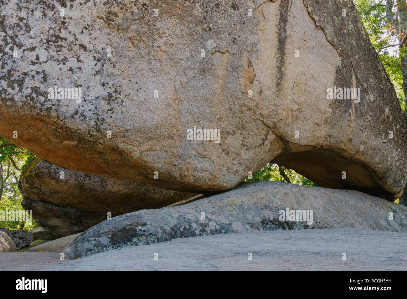 Das Sonnenlicht zieht durch Bäume und beleuchtet einen großen Felsbrocken, der auf einem anderen Stein liegt. Diese einzigartige Felsformation zeigt die Kunstfertigkeit der Natur in A Stockfoto