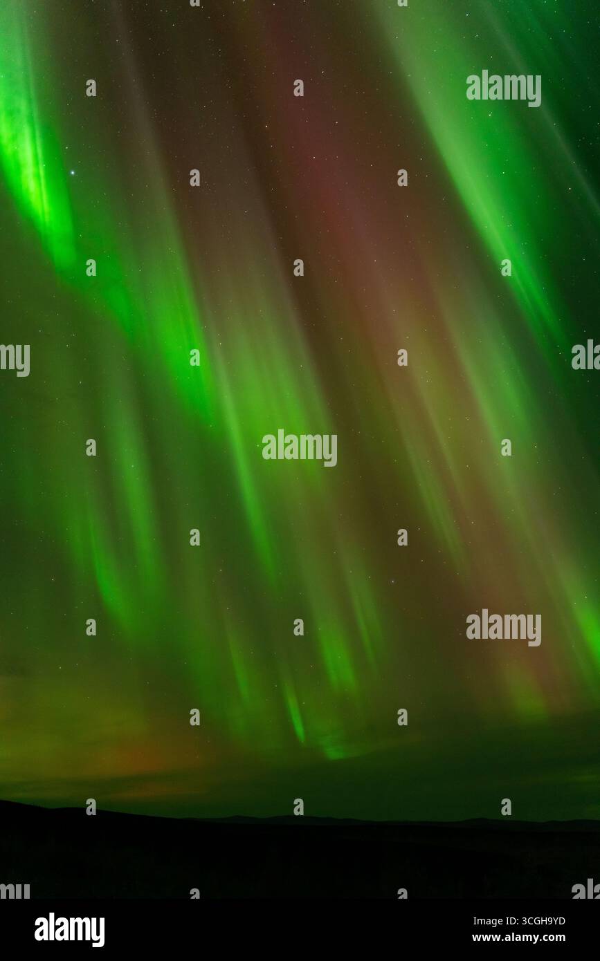 Die Nordlichter einzufangen, ist etwas Besonderes! Stockfoto