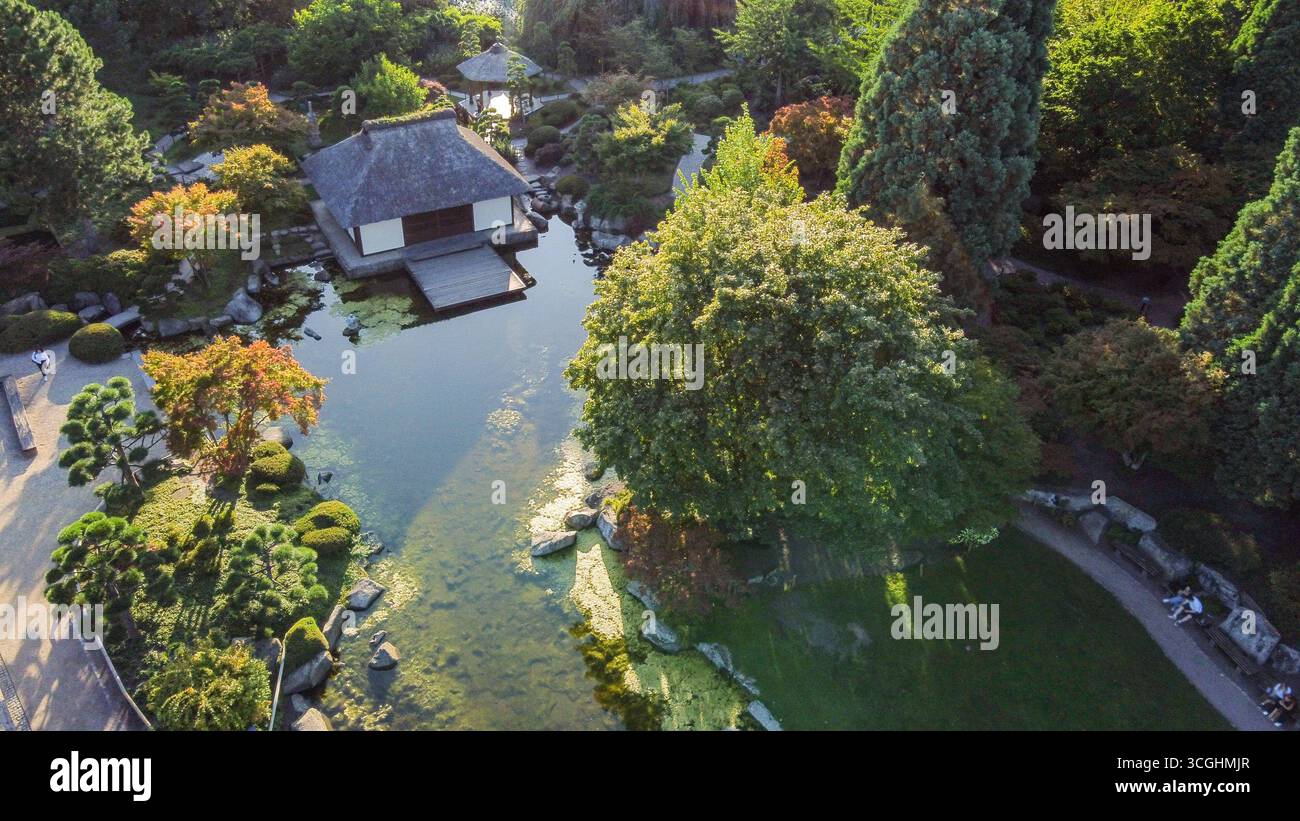 Aus der Vogelperspektive auf den Teich und DIE NATUR (Herbstblattfarbe (Herbst kommt bald) im Japanischen Garten in Planten un Blomen in Hamburg im Sommer). Ein Stockfoto