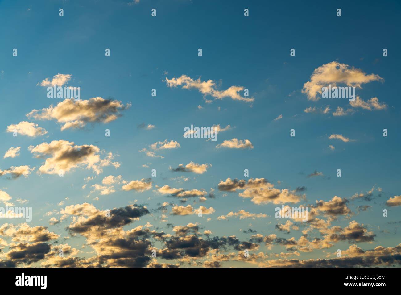 Cumulus mediocris Wolken verstreut über den Himmel in warmer Abendsonne mit goldenen Spitzen und dunkleren Basen. Stockfoto