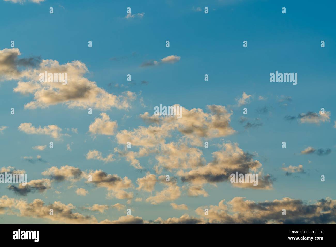 Cumulus mediocris Wolken am Himmel. Diese niedrigen Wolken haben klar definierte, geschwollene Formen und werden durch das warme Abendsonnenlicht hervorgehoben. Stockfoto