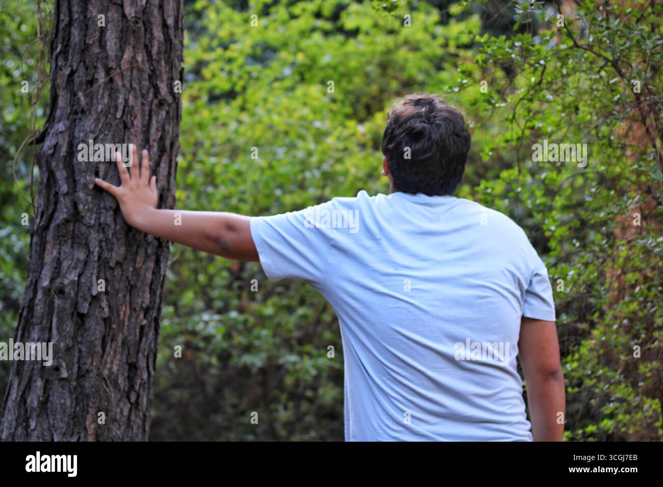 Rückansicht einer Person, die einen Baumstamm in einem Wald berührt. Symbol für Achtsamkeit, Wellness, Ökotourismus und menschliche Verbindung mit der Natur. Stockfoto