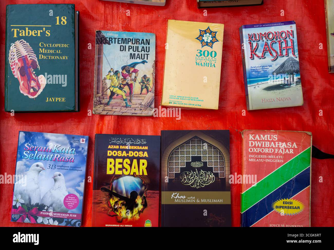 Ipoh, Malaysia – 17. August 2025: Eine Overhead-Aufnahme einer Vielzahl von gebrauchten Büchern mit bunten Covern, darunter ein Wörterbuch, religiöse Texte und Fikti Stockfoto