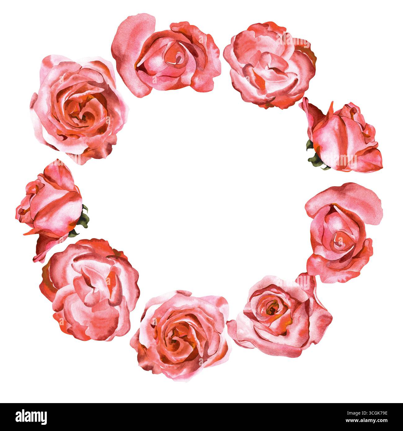 Runder Rahmen mit Rosenblüten. Rote Rosen mit Aquarellen in Wet-on-Wet-Technik Stockfoto