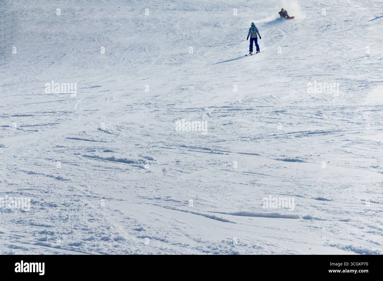 Poltava Ukraine 15 Januar 2025 Menschen Skifahren und Snowtubing auf schneebedeckten Pisten im örtlichen Skigebiet Wintererholung und Sportaktivitäten redaktionelle Verwendung Stockfoto