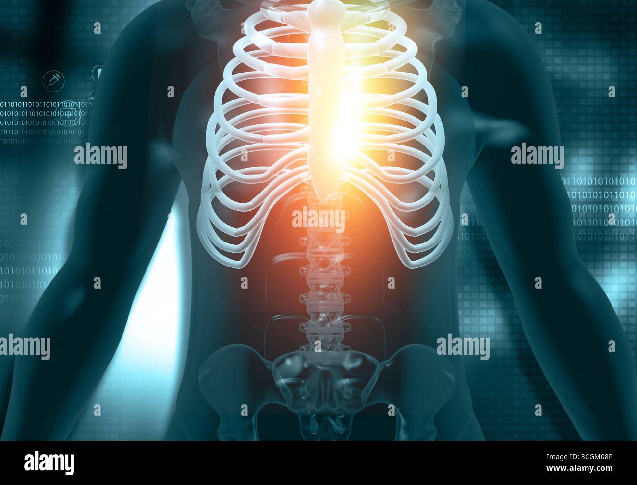 Männliche Anatomie, Skelett auf blauem wissenschaftlichen Hintergrund. 3D-Abbildung Stockfoto