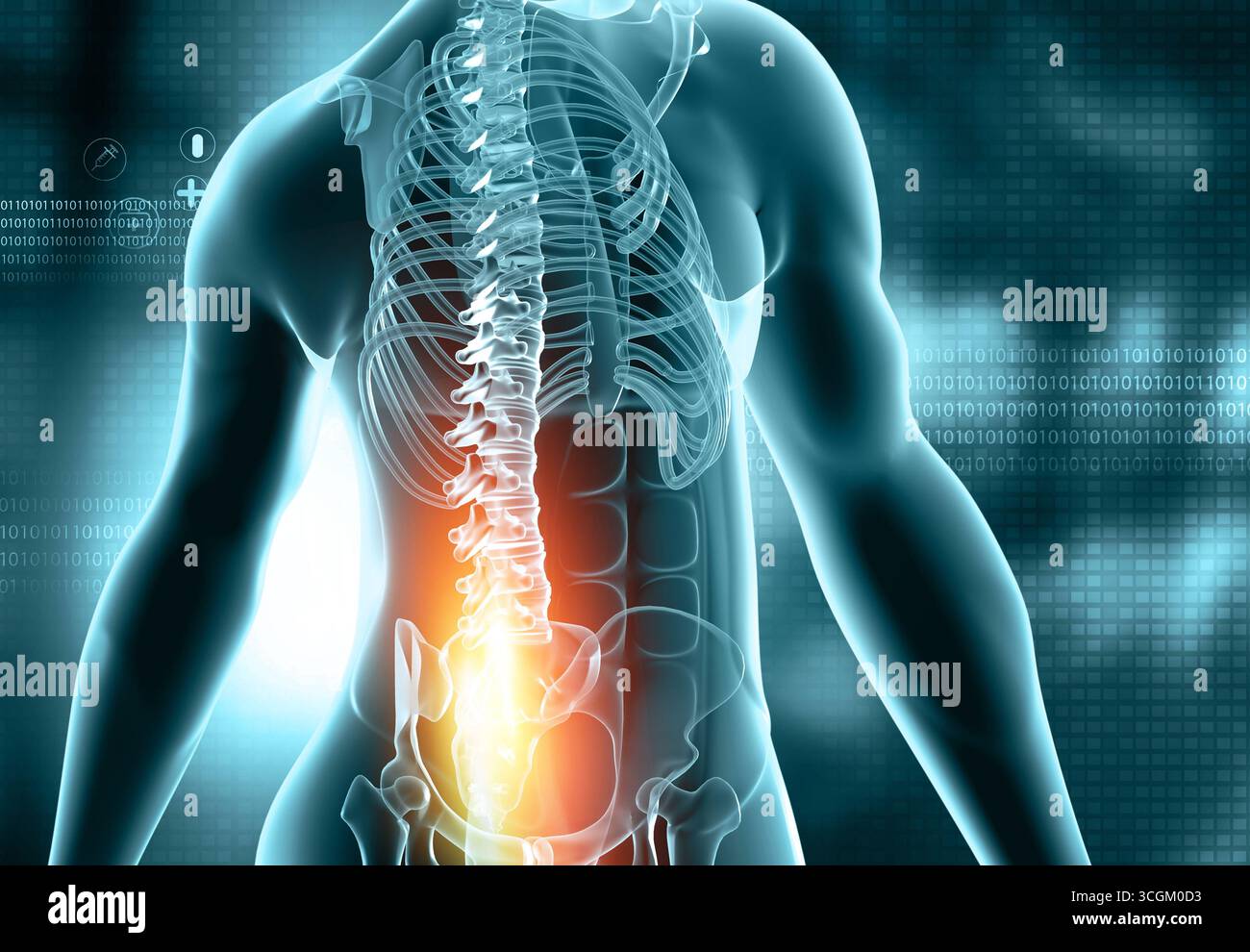 Männliche Anatomie, Rückenschmerzen, athletische Orthopädie auf blauem wissenschaftlichen Hintergrund. 3D-Abbildung Stockfoto