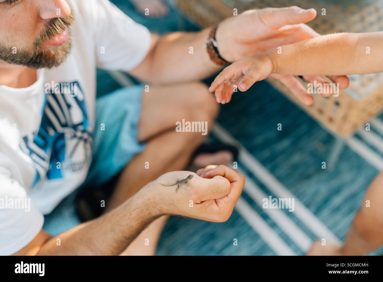 Vater führt den Sohn, eine winzige Eidechse auf einem Teppich zu halten Stockfoto