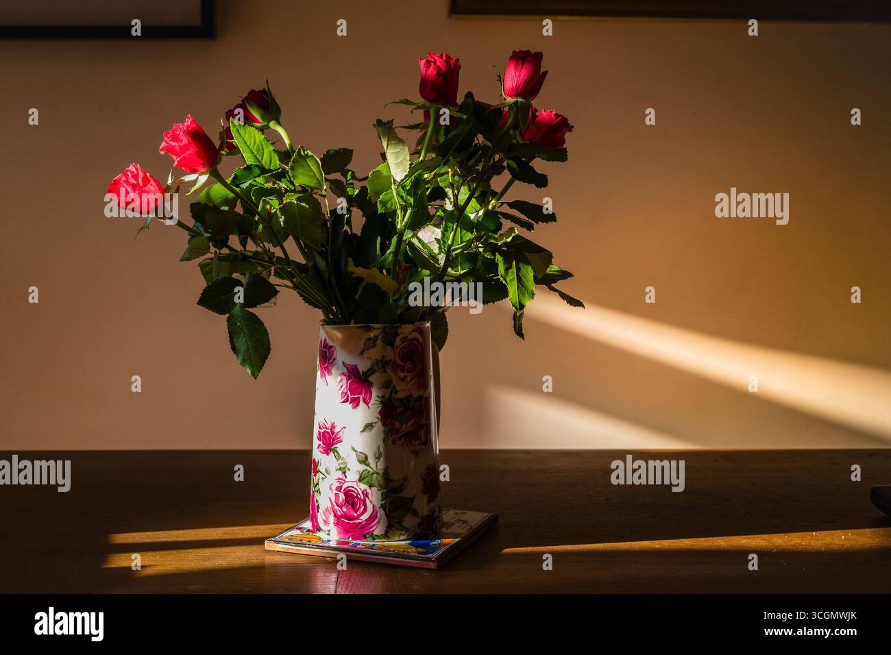 Rote Rosen in einer Blume, drucken Sie die Vase auf einen Tisch mit starkem Nachmittagssonnenlicht. West Sussex, England Stockfoto