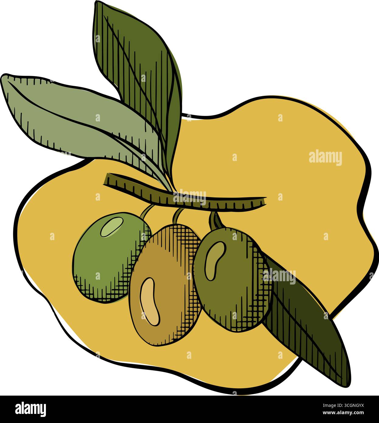 Pfütze gelbes Öl, Olivenöl Pfütze Zusammensetzung. Vektorgrafik Linie farbige Illustration. Olivenöl, Pfütze, Beeren, grüne Blätter, Zweige, für c Stock Vektor