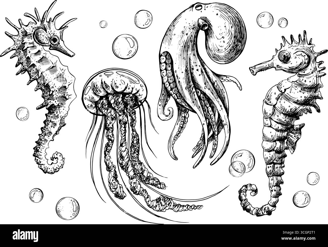 Handgezeichnete Strichgrafik-Illustration von Seepferden, Quallen, Tintenfischen und Blasen. Marine-Kollektion in schwarzer Tinte mit detaillierten Unterwasserkreaturen, perfekt Stock Vektor
