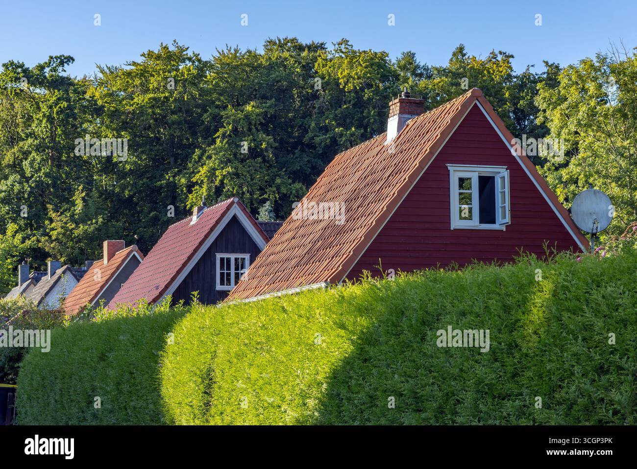 Ältere Einfamilienhaus-Giebelhäuser hinter hohen Hecken Stockfoto