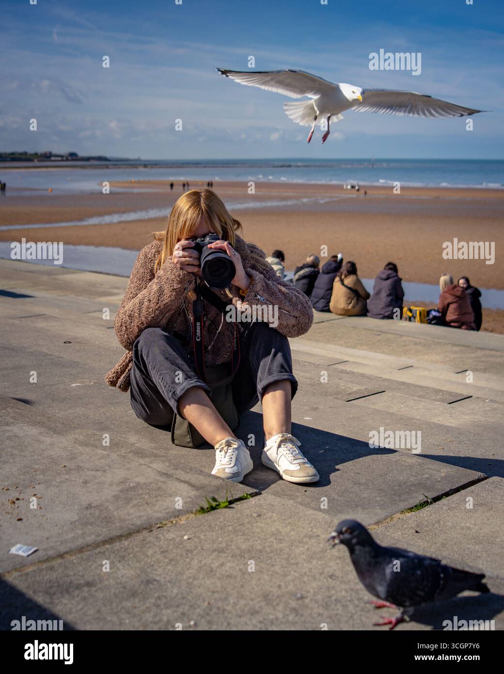 Fotografin sitzt auf den Stufen am Margate Beach, Kent, England, mit Kamera, Möwe im Flug und Taube im Vordergrund Stockfoto