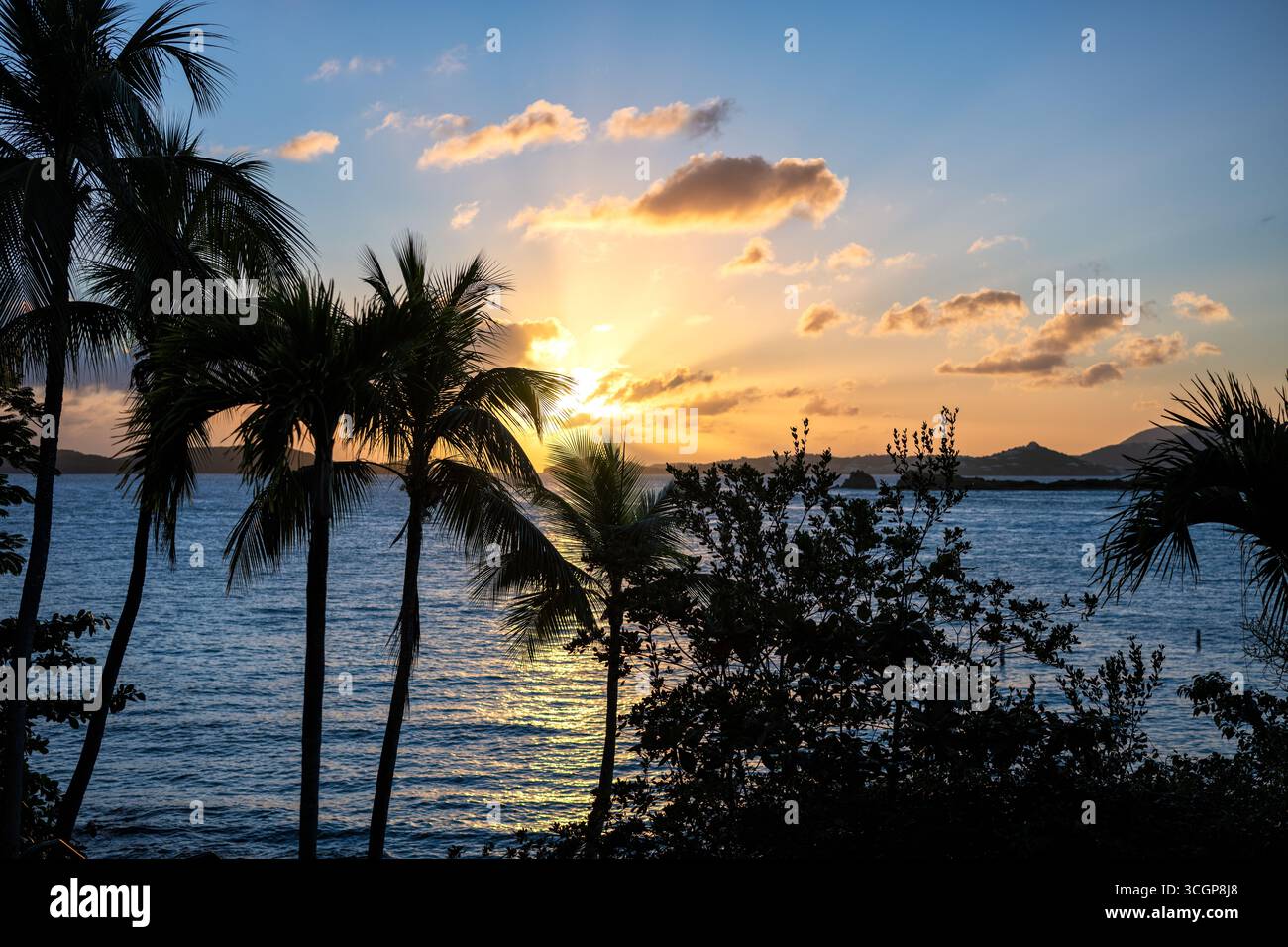 Sonnenuntergang über St. Thomas vom Gallows Point Cruz Bay St. John USVI // St. JOHN, USVI — Ein Sonnenuntergang wirft goldenes Licht über das Wasser, wie vom Gallows Point in Cruz Bay aus gesehen, wobei die Insel St. Thomas in der Ferne sichtbar ist. Silhouettenpalmen umrahmen die tropische Szene, wobei der Himmel in Orange, Gelb und Blau gehalten wird. Die U.S. Virgin Islands, ein US-Territorium in der Karibik, sind bekannt für ihre unberührten Strände und pulsierenden Sonnenuntergänge. Gallows Point ist ein beliebter Aussichtspunkt auf St. John, der einen Panoramablick auf die umliegenden Inseln und Gewässer bietet. Stockfoto