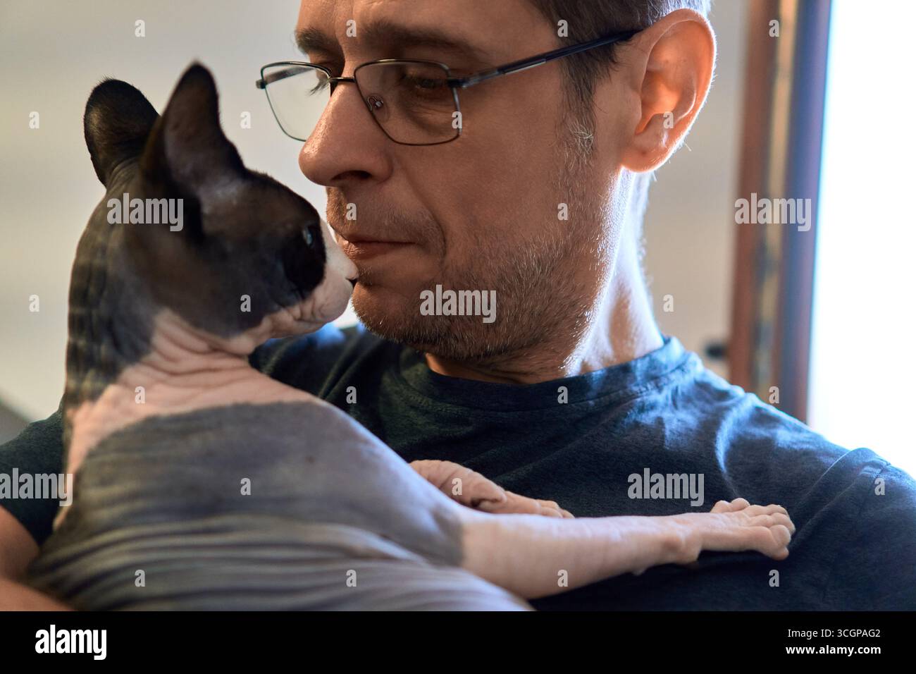 Ein Mann mit Brille hält eine Sphynx-Katze und lehnt sich drinnen an das Tier, um eine intime und liebevolle Mensch-Tier-Interaktion zu erfassen Stockfoto