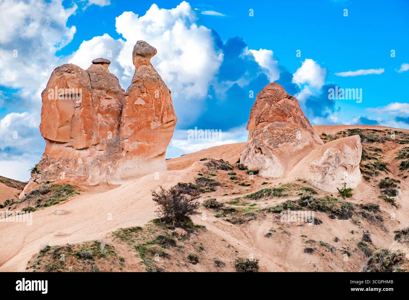 Dream Valley, Devrent, Kappadokien, Felsen bizarre Form, Kamel Stockfoto