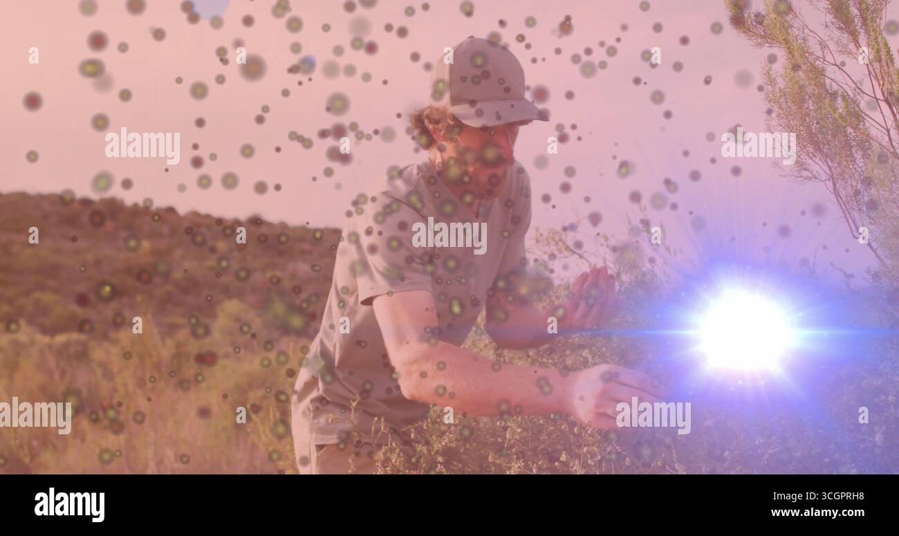 Hockende Männer mit Baseballmütze, T-Shirt, das Sträucher am Hang untersucht, mit Linsenflecken-Überzügen Stockfoto