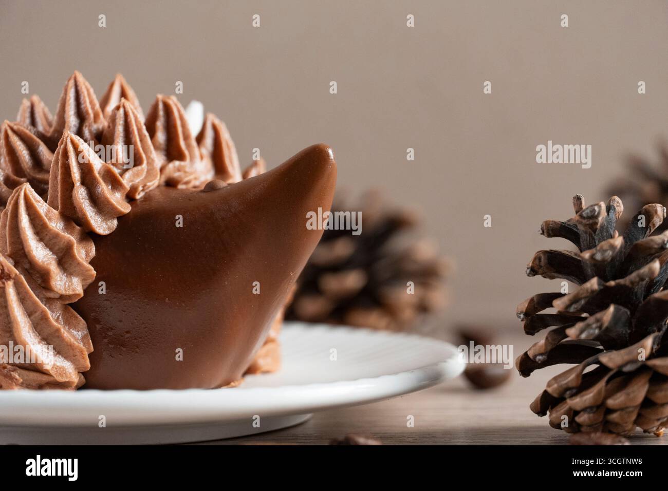 Ein skurriles Schokoladen-Igel-Dessert mit Glaskernen auf einem weißen Teller, vor einer rustikalen Kulisse aus Tannenzapfen und warmem Holz Stockfoto