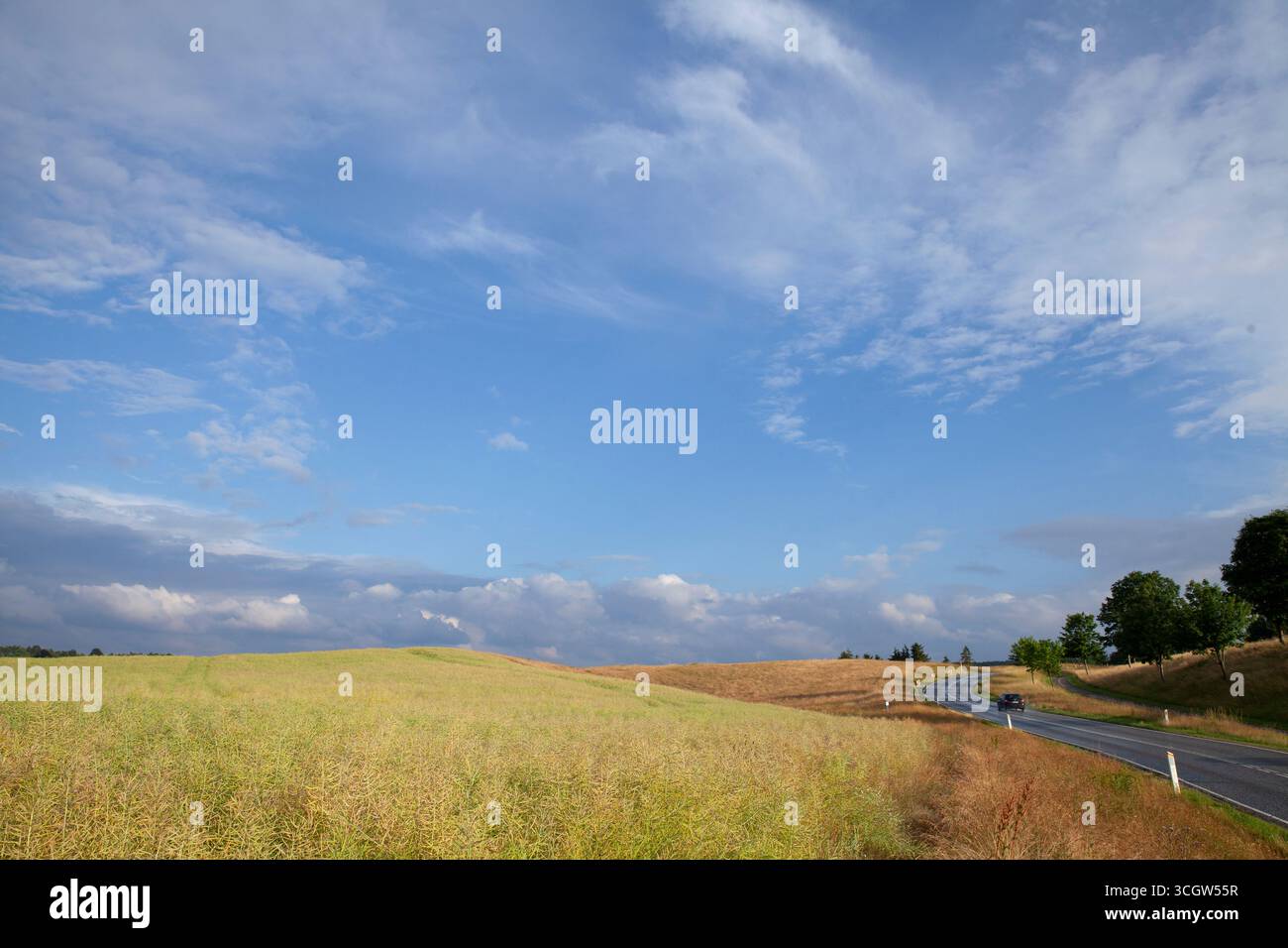 Nach dem Regenbogen über einer Rapsfeldlandschaft in der Natur von Rudersdal in Dänemark Stockfoto