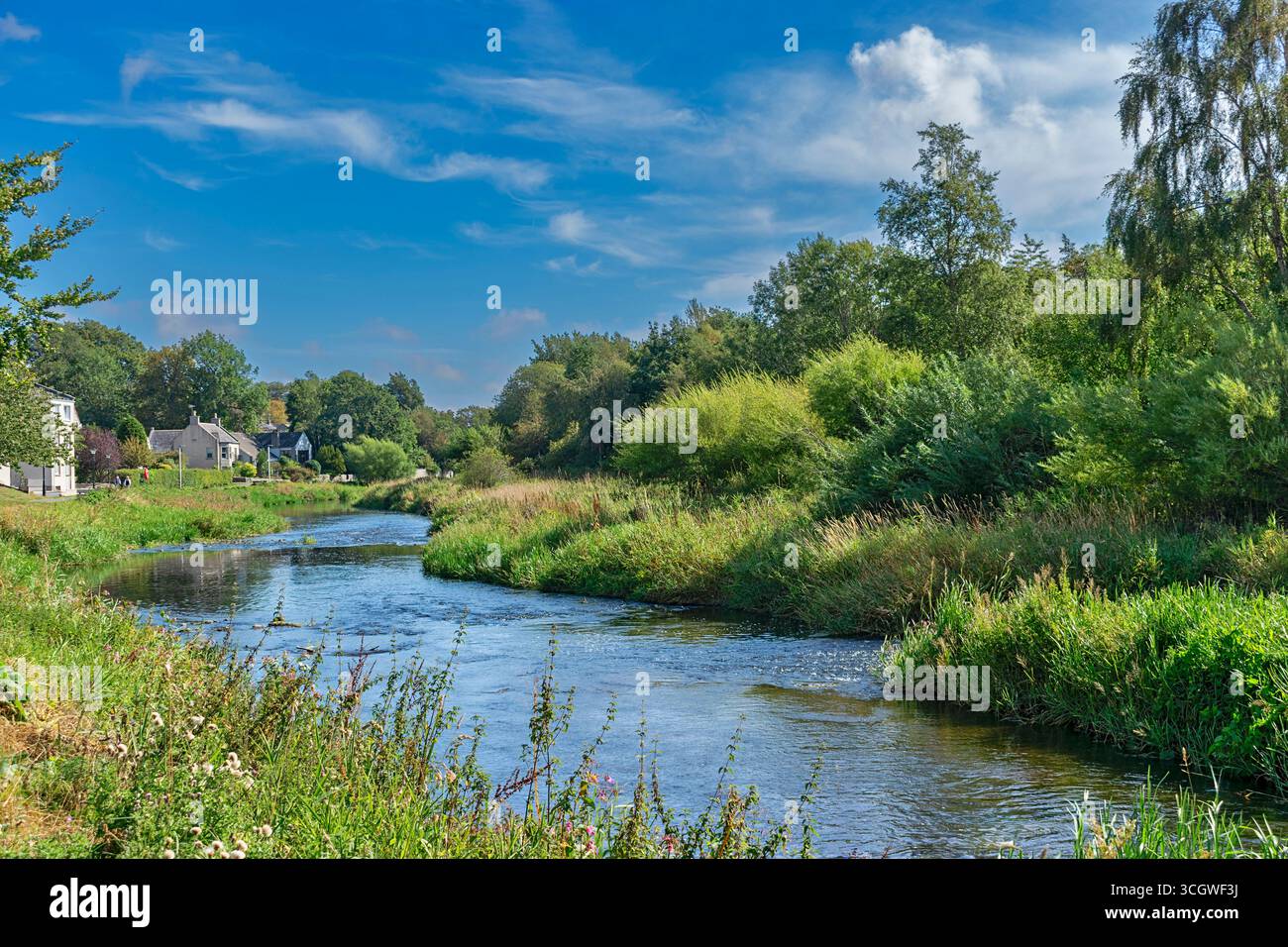 Ellon Aberdeenshire Scotland der Fluss Walk und die Ufer des Flusses Ythan im Sommer Stockfoto