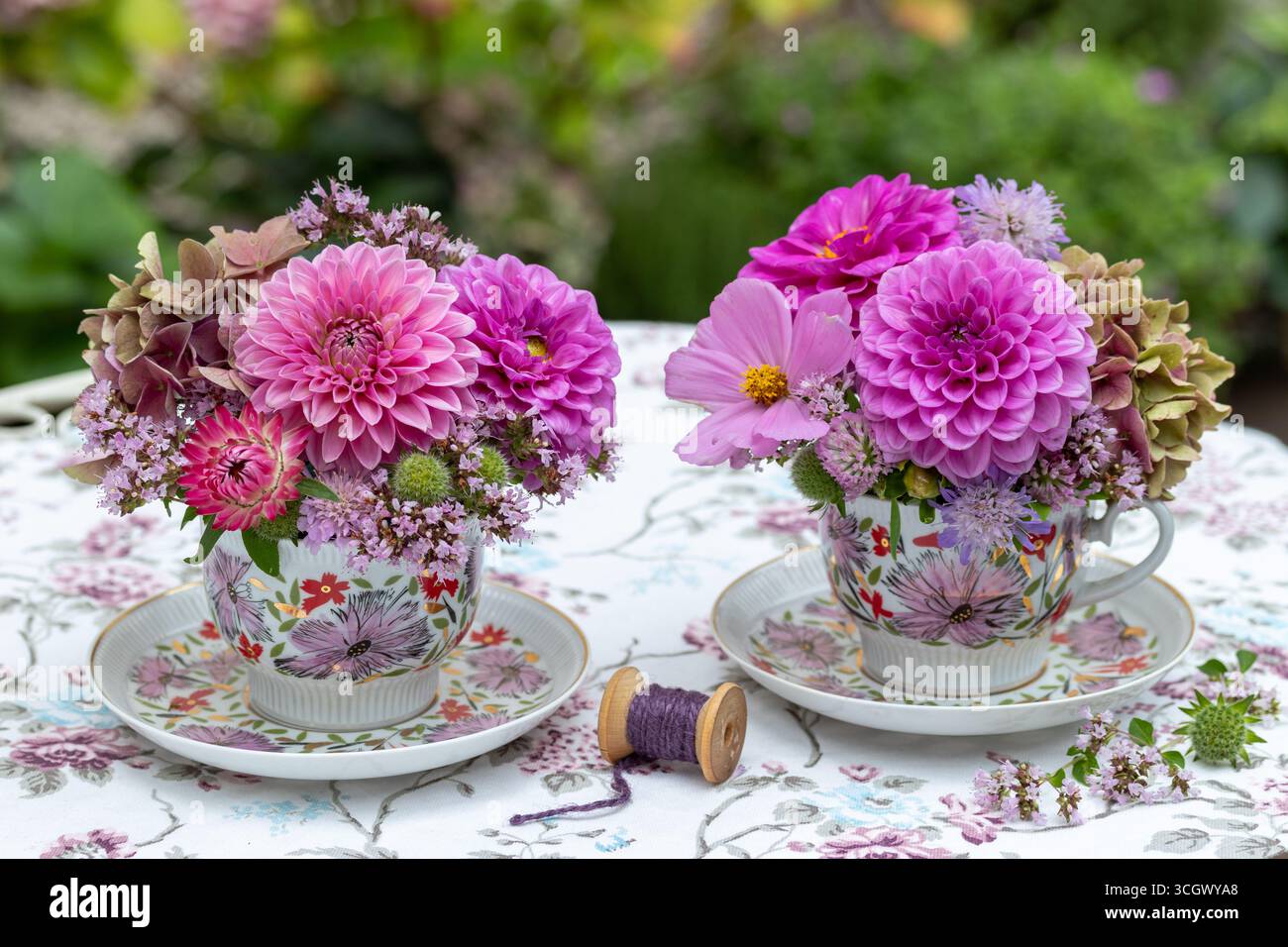Blumenarrangements von rosa Dahlien, Hortensie Blüten, Kosmos Blüten, Schorf- und Strohblumen in Vintage Porzellanbechern Stockfoto