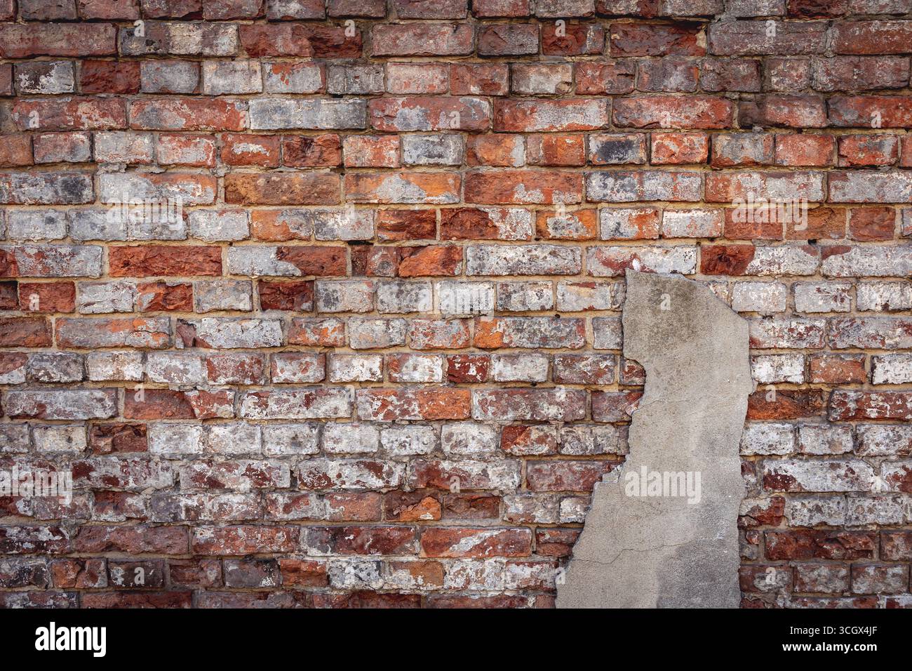 Nahaufnahme an einer alten Mauer aus roten Ziegeln Stockfoto