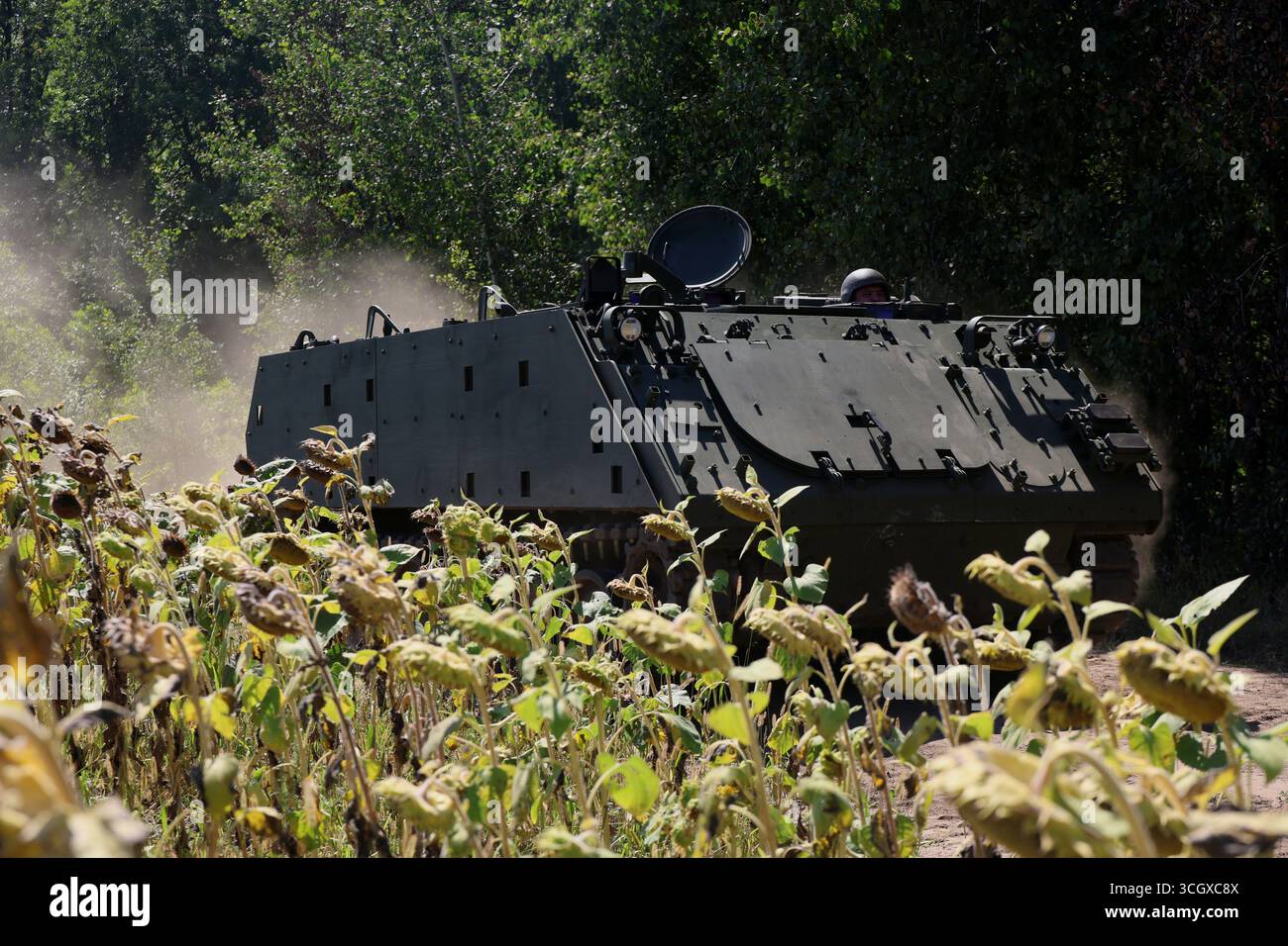 Infanteristen des Einsatzbataillons der 13. Brigade der Nationalgarde der Ukraine „Khartiia“ üben am 29. August 2025 Flugfähigkeiten mit einem amerikanischen gepanzerten M113-Träger aus der Region Charkiw, Ukraine (Foto: Viacheslaw Madiievskyi/Ukrinform) Stockfoto