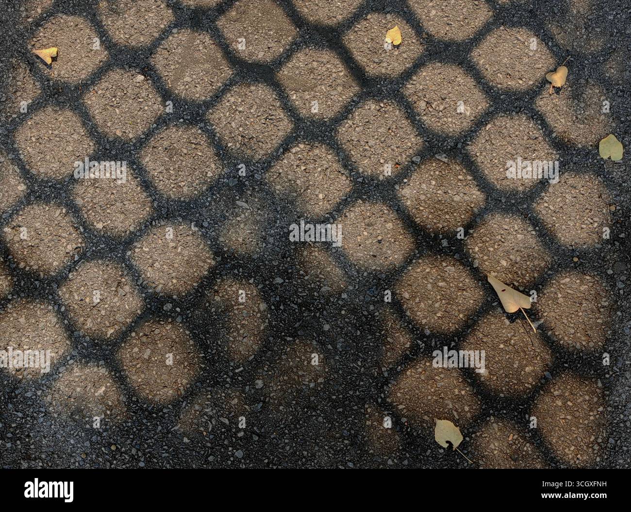 Fesselnde Saison Stockfoto