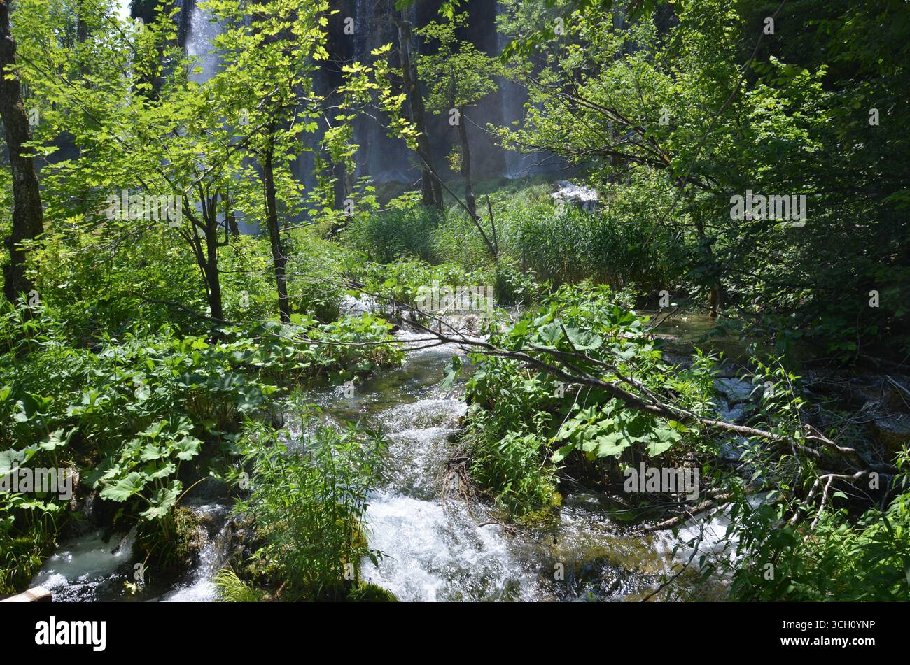 Nationalpark Plitvicer Seen, Kroatien Stockfoto