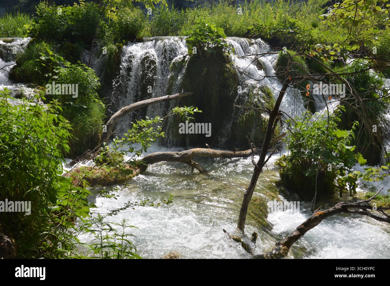 Nationalpark Plitvicer Seen, Kroatien Stockfoto