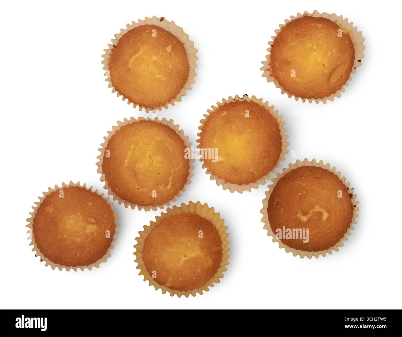 Blick von oben auf eine Gruppe von Cupcakes oder Muffins in Papiereinlagen isolierter weißer Hintergrund, gebackene hausgemachte Leckereien, Dessert- oder Snackkochkonzept Stockfoto