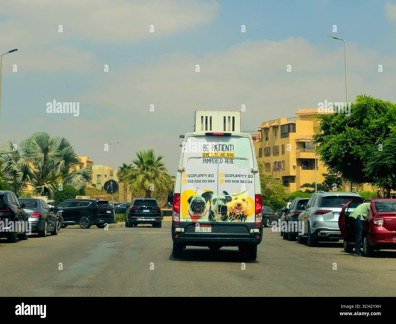 Kairo, Ägypten, 1. August 2025: Mobile Tierpflege, Pflege von Haustieren, für die Pflege und Wellness, Go Puppy GOPuppy Mobile Van auf der Straße mit English phra Stockfoto