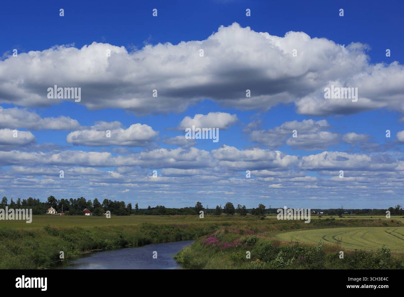 Dies ist die Landschaft in der ländlichen schwedischen Landschaft. Stockfoto