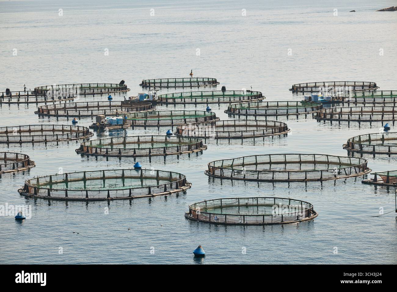 Korfu, Griechenland. Corfu Seafarm S.A. in Imerolia Stockfoto