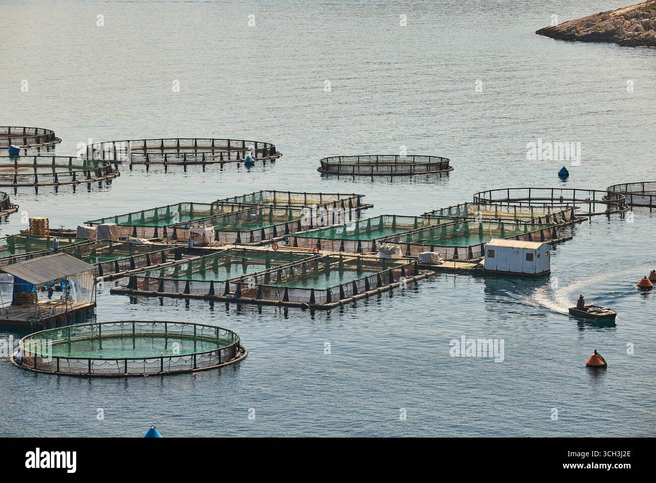 Korfu, Griechenland. Corfu Seafarm S.A. in Imerolia Stockfoto