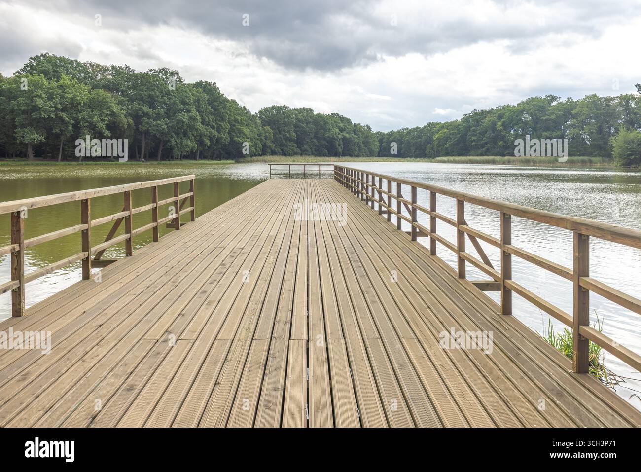 Holzpier auf einem ruhigen See unter bewölktem Himmel, umgeben von üppigen grünen Bäumen. Friedliche und ruhige Naturszene. Stockfoto
