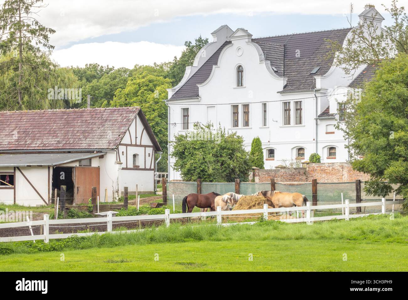 Pferde grasen friedlich auf einer umzäunten Weide auf einem Bauernhof vor dem Hintergrund eines großen weißen Hauses und einer ländlichen Umgebung. Stockfoto
