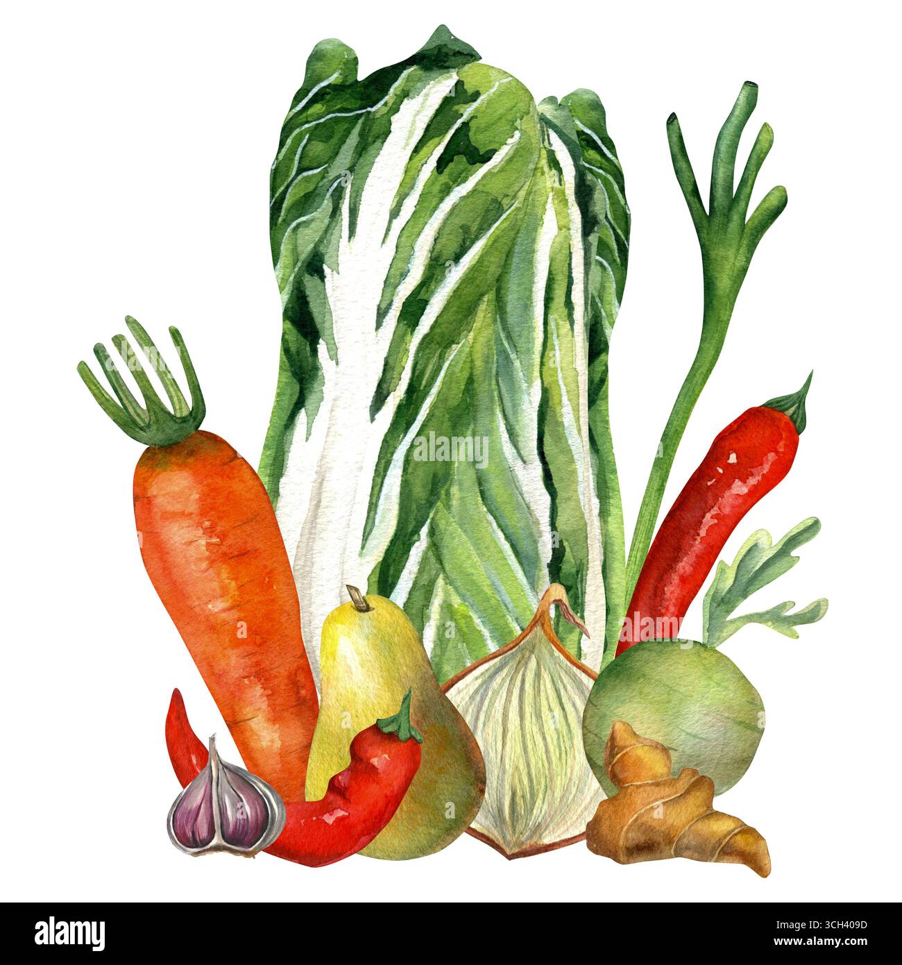 Aquarellkomposition von Gemüse für Kimchi - Chinakohl, Zwiebeln, Ingwer, Karotten, Daikon und Pfeffer. Für Kimchi Party Design, Rezepte und Stockfoto